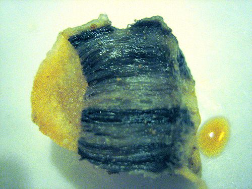 A cut piece of whale blubber showing dark skin on one side and yellow fat