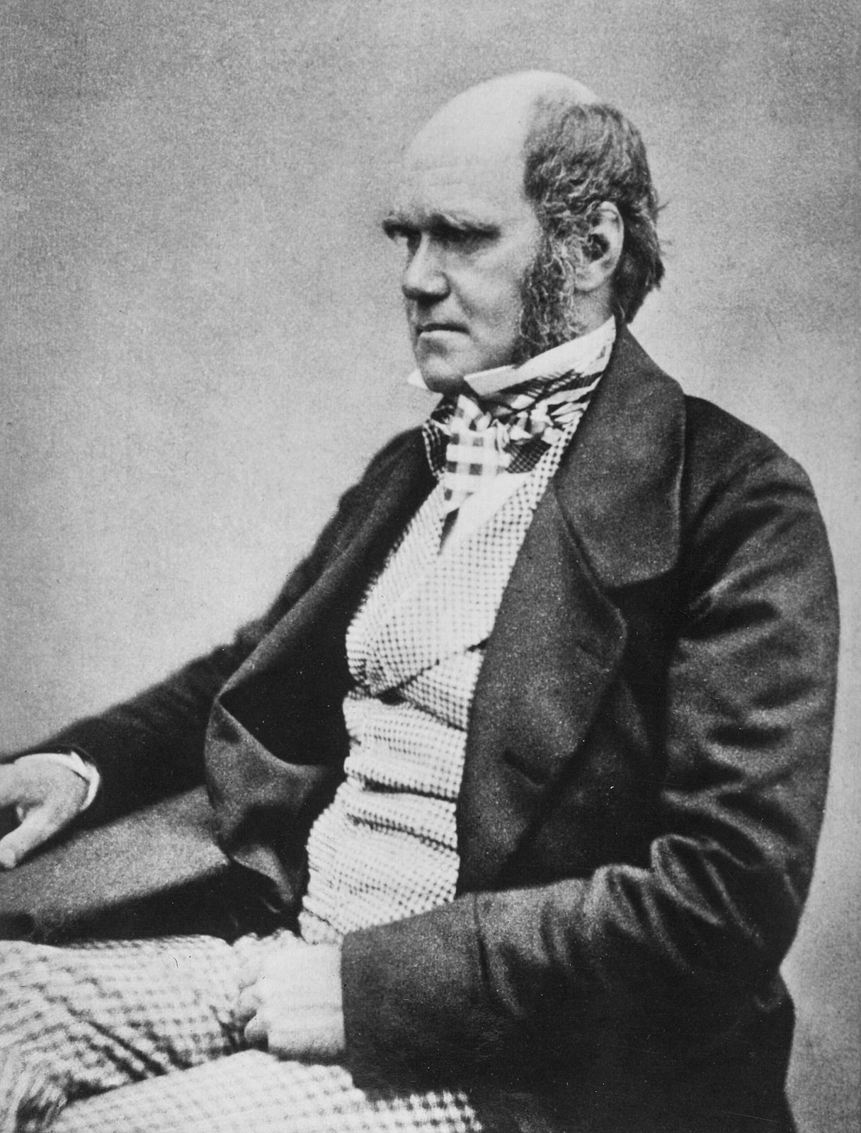 Photograph of Charles Darwin, seated