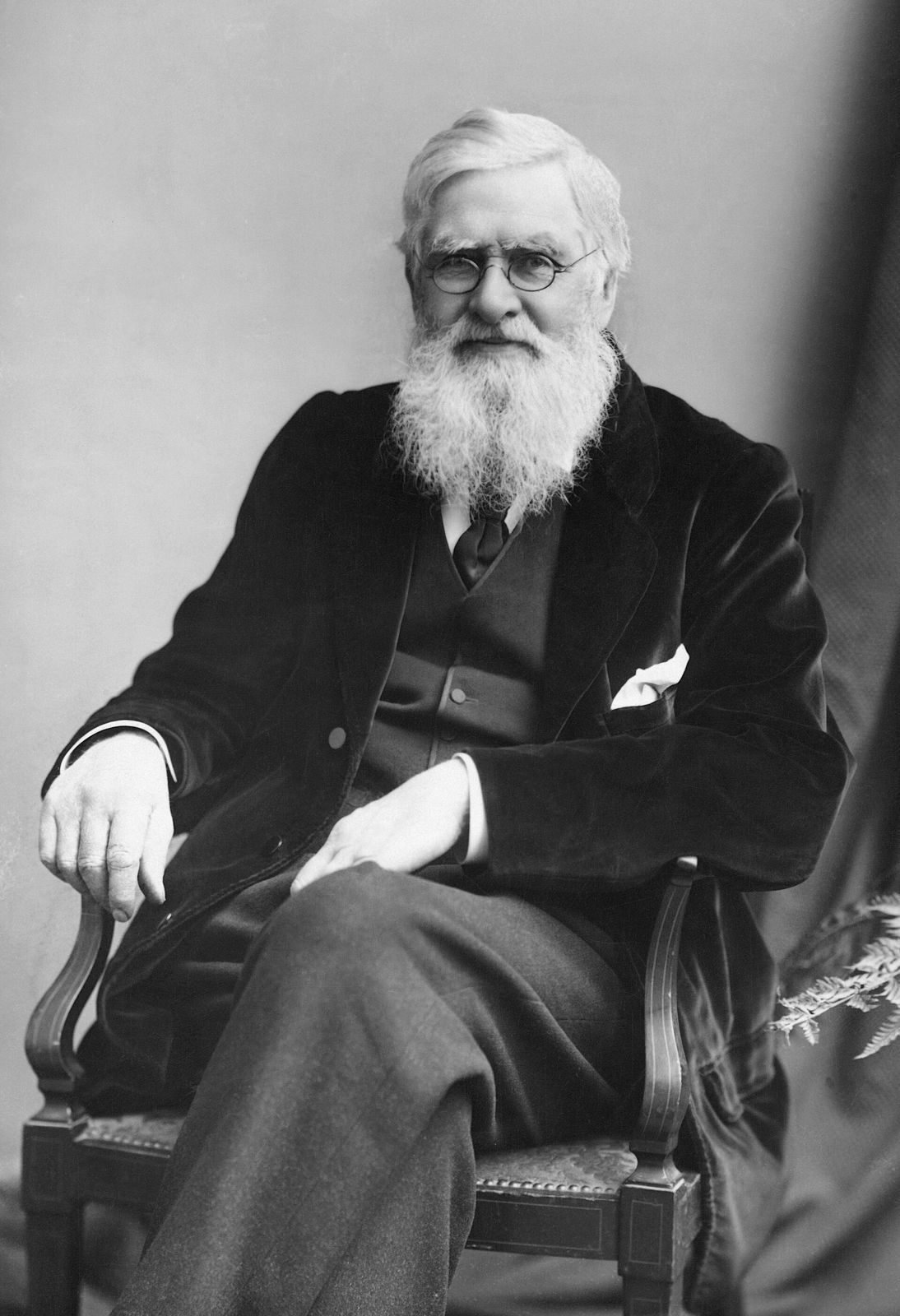 Photograph of Alfred Russel Wallace, seated